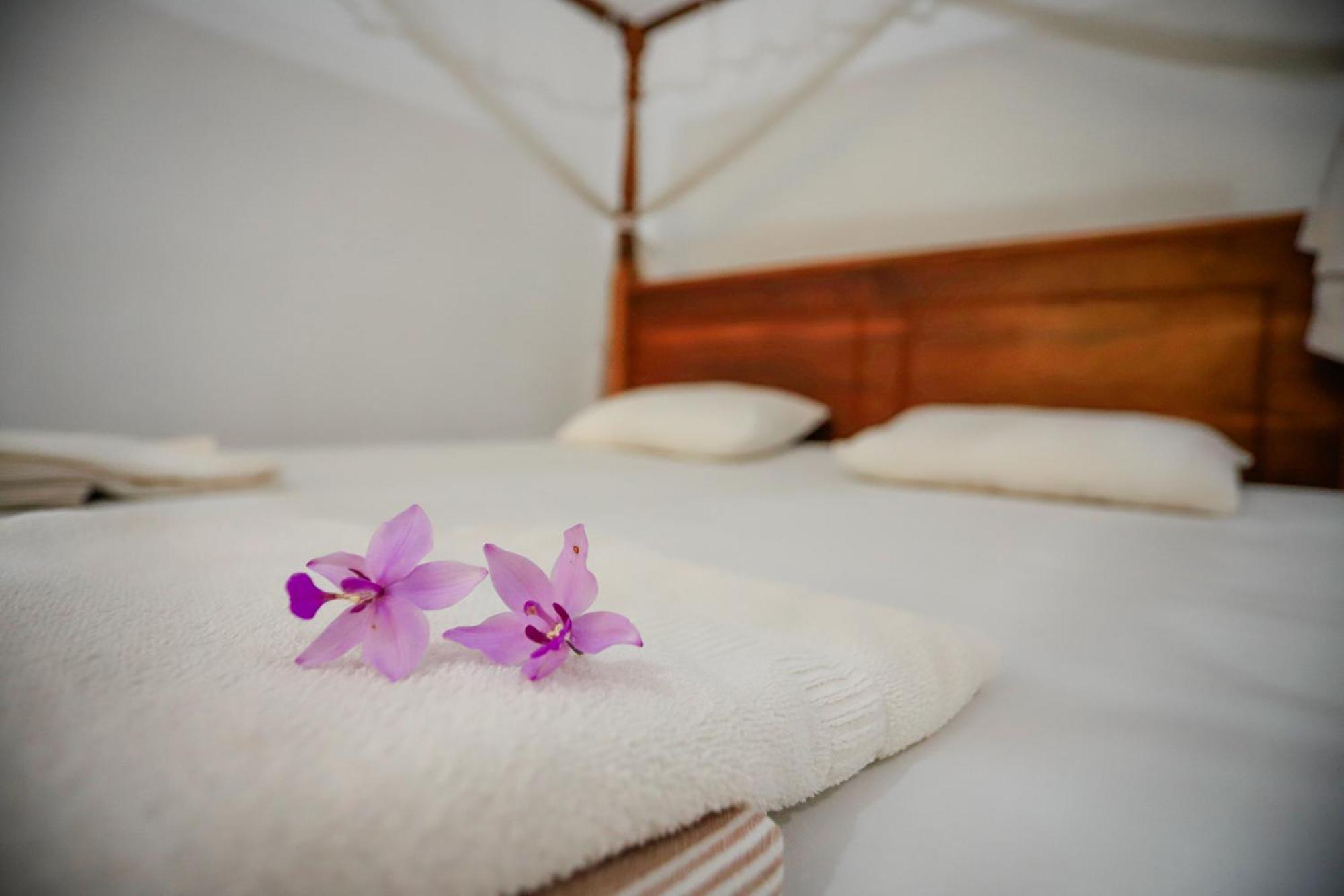 Serene Home Stay Udawalawe Luaran gambar